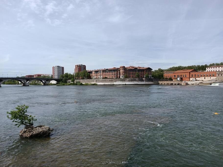 T3 Lumineux - Berges De La Garonne - Parking Apartment Toulouse Luaran gambar